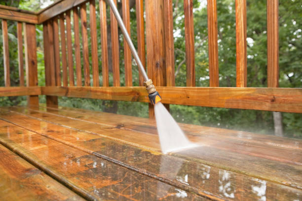 Best Local Pressure Washing Services  in Kahoka, MO